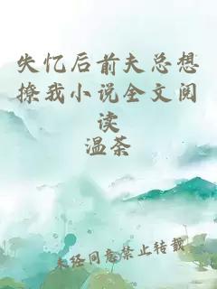 失忆后前夫总想撩我小说全文阅读